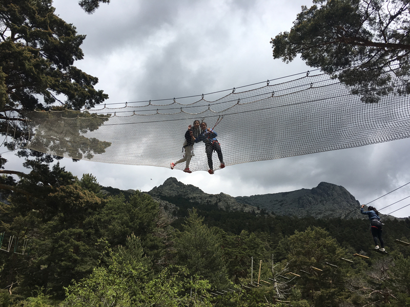 Puente de red